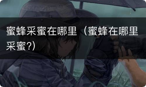 蜜蜂采蜜在哪里（蜜蜂在哪里采蜜?）