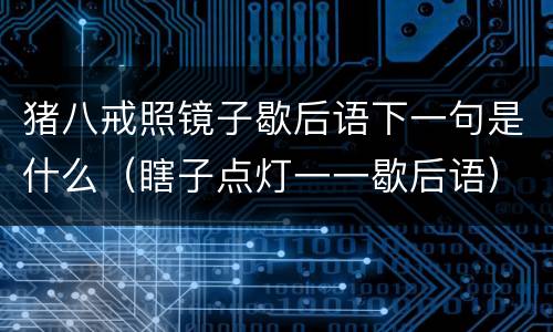猪八戒照镜子歇后语下一句是什么（瞎子点灯一一歇后语）
