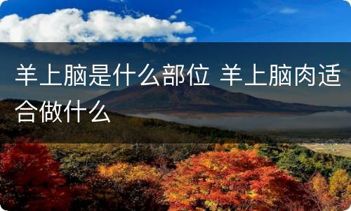 羊上脑是什么部位 羊上脑肉适合做什么