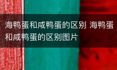海鸭蛋和咸鸭蛋的区别 海鸭蛋和咸鸭蛋的区别图片