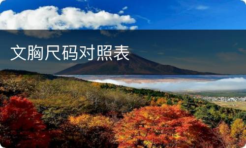 文胸尺码对照表