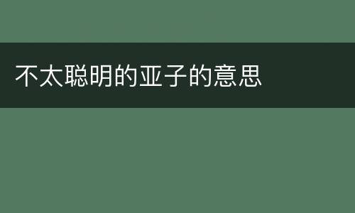 不太聪明的亚子的意思