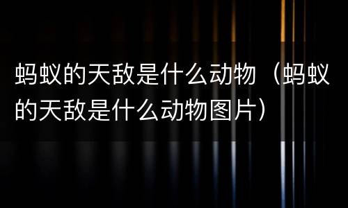 蚂蚁的天敌是什么动物（蚂蚁的天敌是什么动物图片）