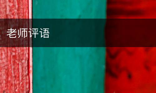 老师评语