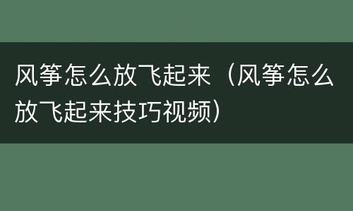 风筝怎么放飞起来（风筝怎么放飞起来技巧视频）