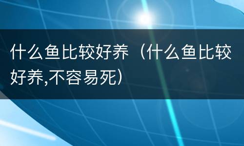 什么鱼比较好养（什么鱼比较好养,不容易死）