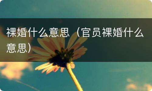 裸婚什么意思（官员裸婚什么意思）