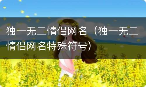 独一无二情侣网名（独一无二情侣网名特殊符号）