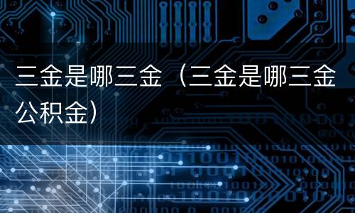 三金是哪三金（三金是哪三金公积金）