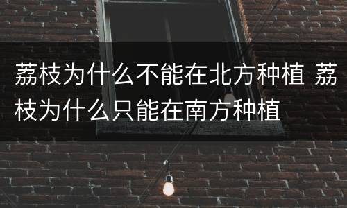 荔枝为什么不能在北方种植 荔枝为什么只能在南方种植