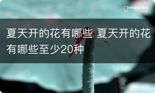 夏天开的花有哪些 夏天开的花有哪些至少20种