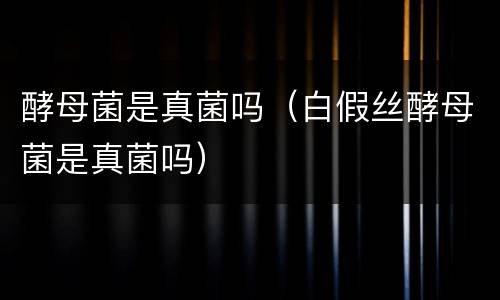 酵母菌是真菌吗（白假丝酵母菌是真菌吗）