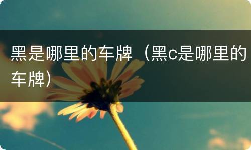 黑是哪里的车牌（黑c是哪里的车牌）
