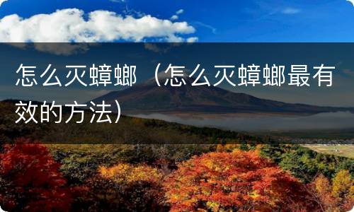 怎么灭蟑螂（怎么灭蟑螂最有效的方法）