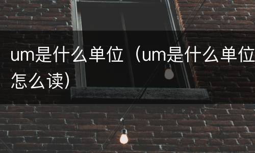 um是什么单位（um是什么单位怎么读）