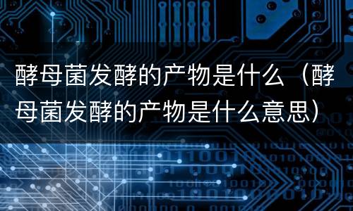 酵母菌发酵的产物是什么（酵母菌发酵的产物是什么意思）