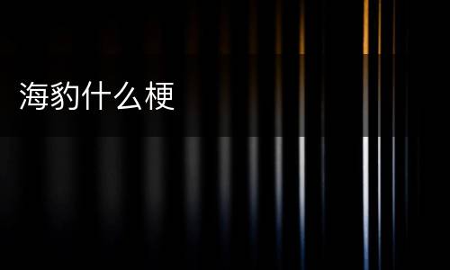 海豹什么梗
