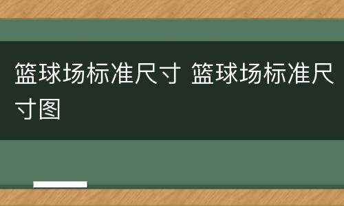 篮球场标准尺寸 篮球场标准尺寸图