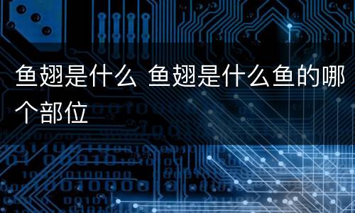 鱼翅是什么 鱼翅是什么鱼的哪个部位