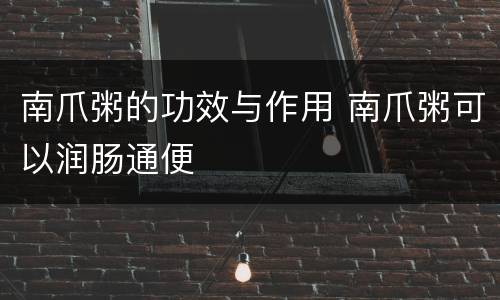 南爪粥的功效与作用 南爪粥可以润肠通便