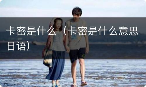 卡密是什么（卡密是什么意思日语）