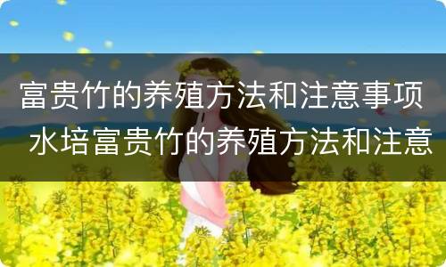 富贵竹的养殖方法和注意事项 水培富贵竹的养殖方法和注意事项