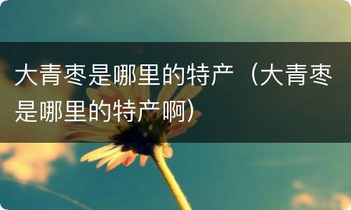大青枣是哪里的特产（大青枣是哪里的特产啊）