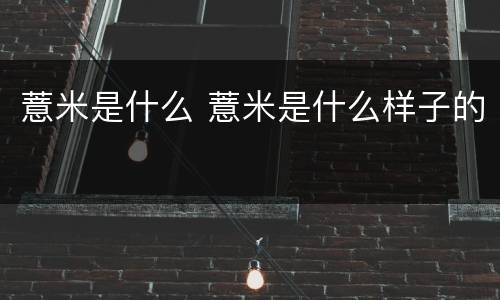 薏米是什么 薏米是什么样子的