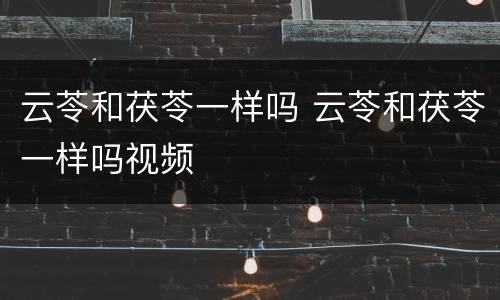 云苓和茯苓一样吗 云苓和茯苓一样吗视频