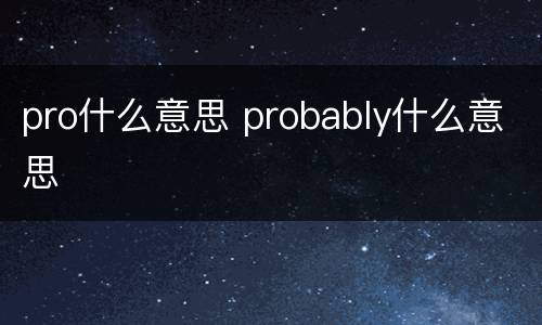 pro什么意思 probably什么意思