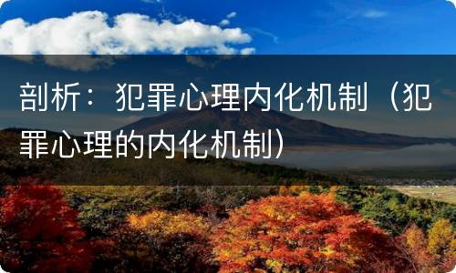 剖析：犯罪心理内化机制（犯罪心理的内化机制）