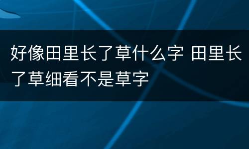好像田里长了草什么字 田里长了草细看不是草字