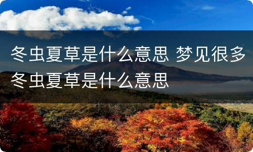 冬虫夏草是什么意思 梦见很多冬虫夏草是什么意思
