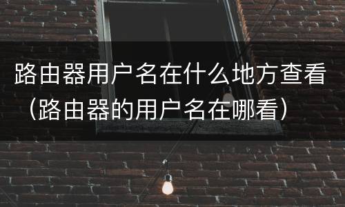 路由器用户名在什么地方查看（路由器的用户名在哪看）