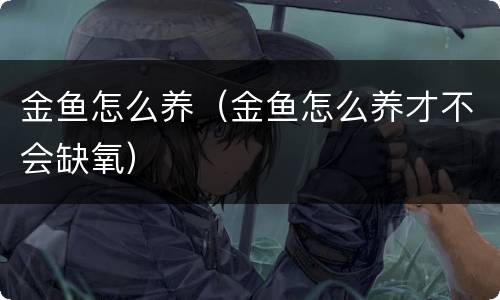 金鱼怎么养（金鱼怎么养才不会缺氧）