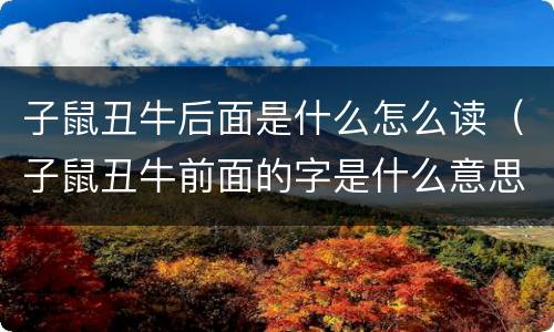 子鼠丑牛后面是什么怎么读（子鼠丑牛前面的字是什么意思）