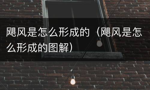 飓风是怎么形成的（飓风是怎么形成的图解）