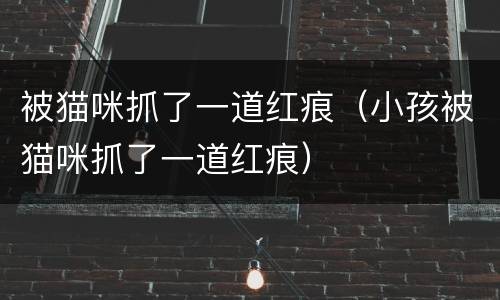 被猫咪抓了一道红痕（小孩被猫咪抓了一道红痕）