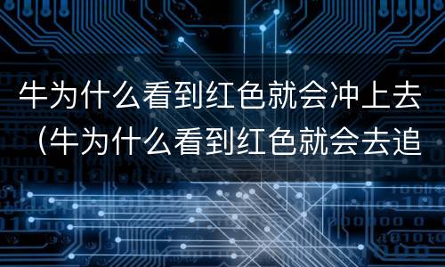 牛为什么看到红色就会冲上去（牛为什么看到红色就会去追）