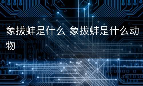 象拔蚌是什么 象拔蚌是什么动物