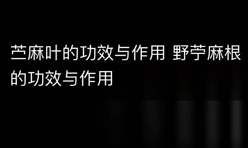 苎麻叶的功效与作用 野苧麻根的功效与作用