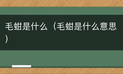 毛蚶是什么（毛蚶是什么意思）