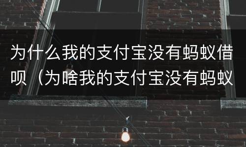为什么我的支付宝没有蚂蚁借呗（为啥我的支付宝没有蚂蚁借呗）