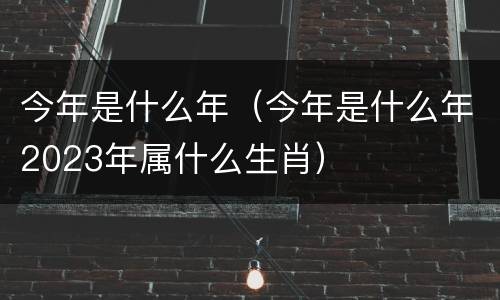 今年是什么年（今年是什么年2023年属什么生肖）