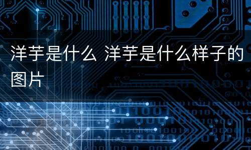 洋芋是什么 洋芋是什么样子的图片
