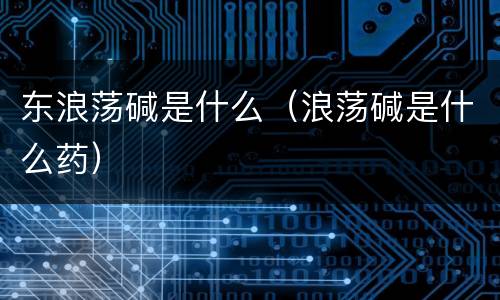 东浪荡碱是什么（浪荡碱是什么药）
