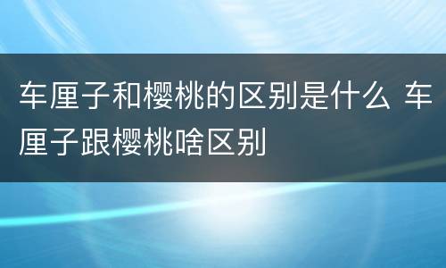 车厘子和樱桃的区别是什么 车厘子跟樱桃啥区别
