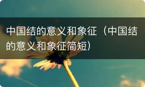 中国结的意义和象征（中国结的意义和象征简短）