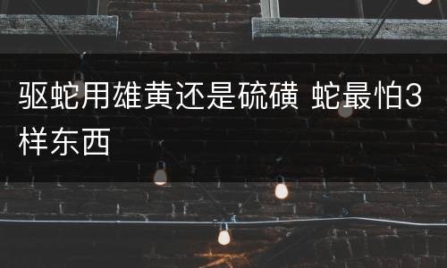 驱蛇用雄黄还是硫磺 蛇最怕3样东西