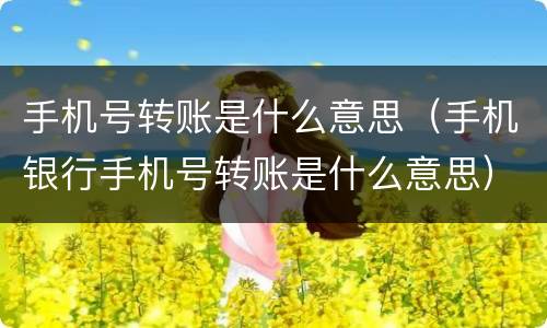手机号转账是什么意思（手机银行手机号转账是什么意思）